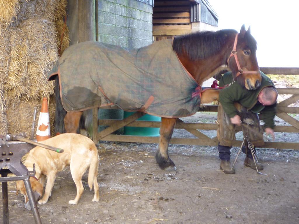 לינה וארוחת בוקר הקסהאם Rye Hill Farm מראה חיצוני תמונה