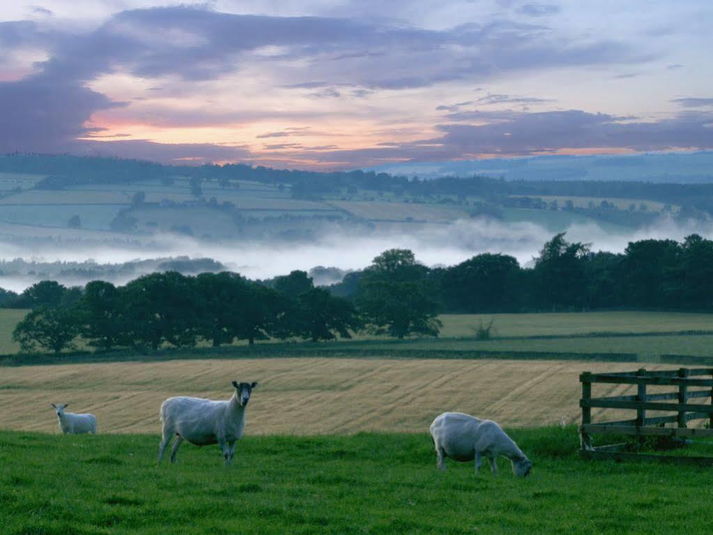 לינה וארוחת בוקר הקסהאם Rye Hill Farm מראה חיצוני תמונה